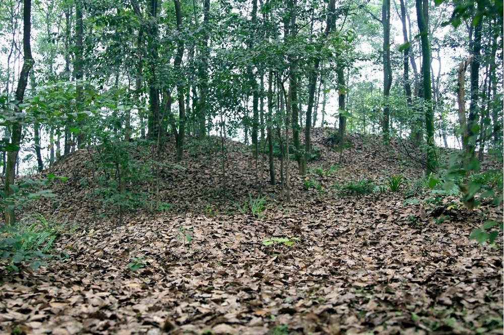 万鸡山墓群1.jpg