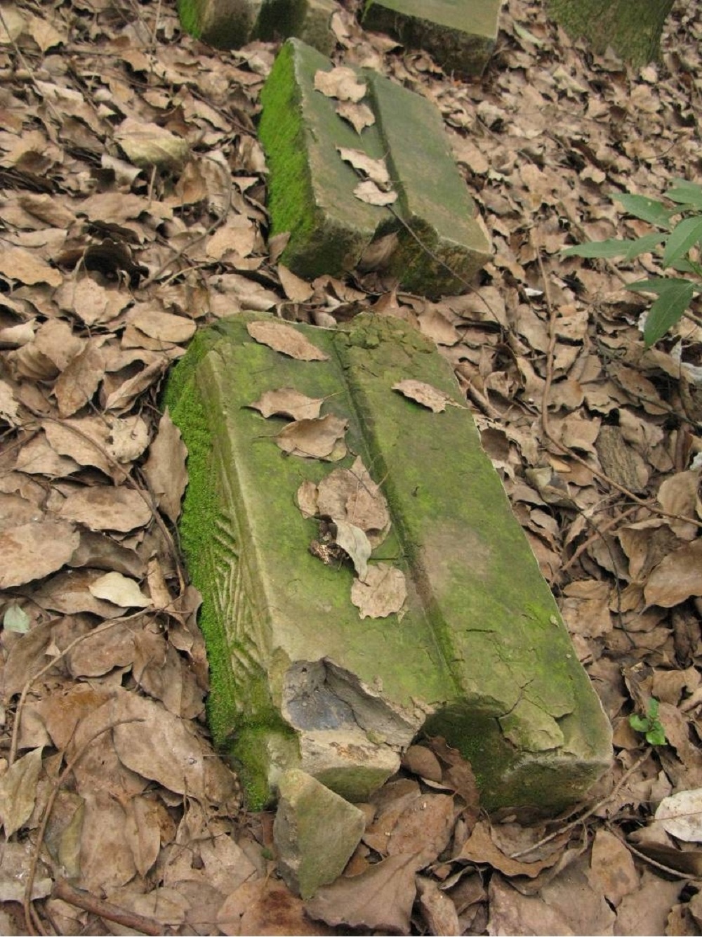 万鸡山墓群2.jpg