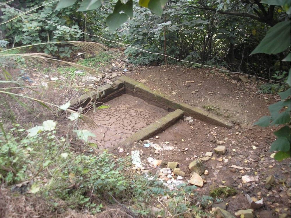 青草坡窑址2.jpg
