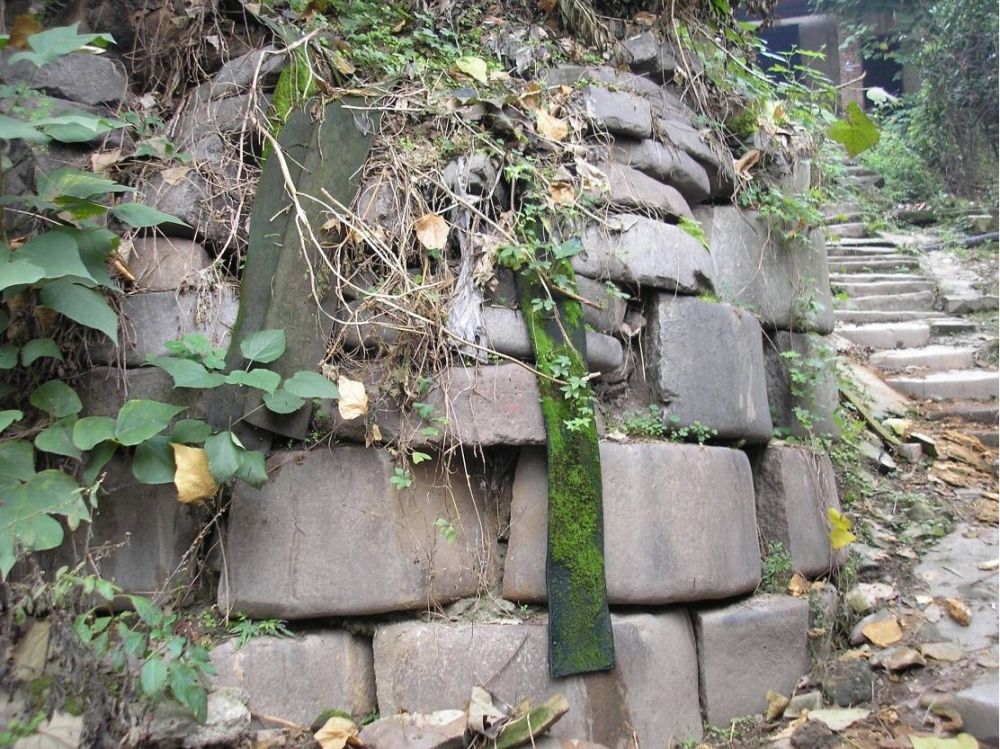 青草坡窑址3.jpg