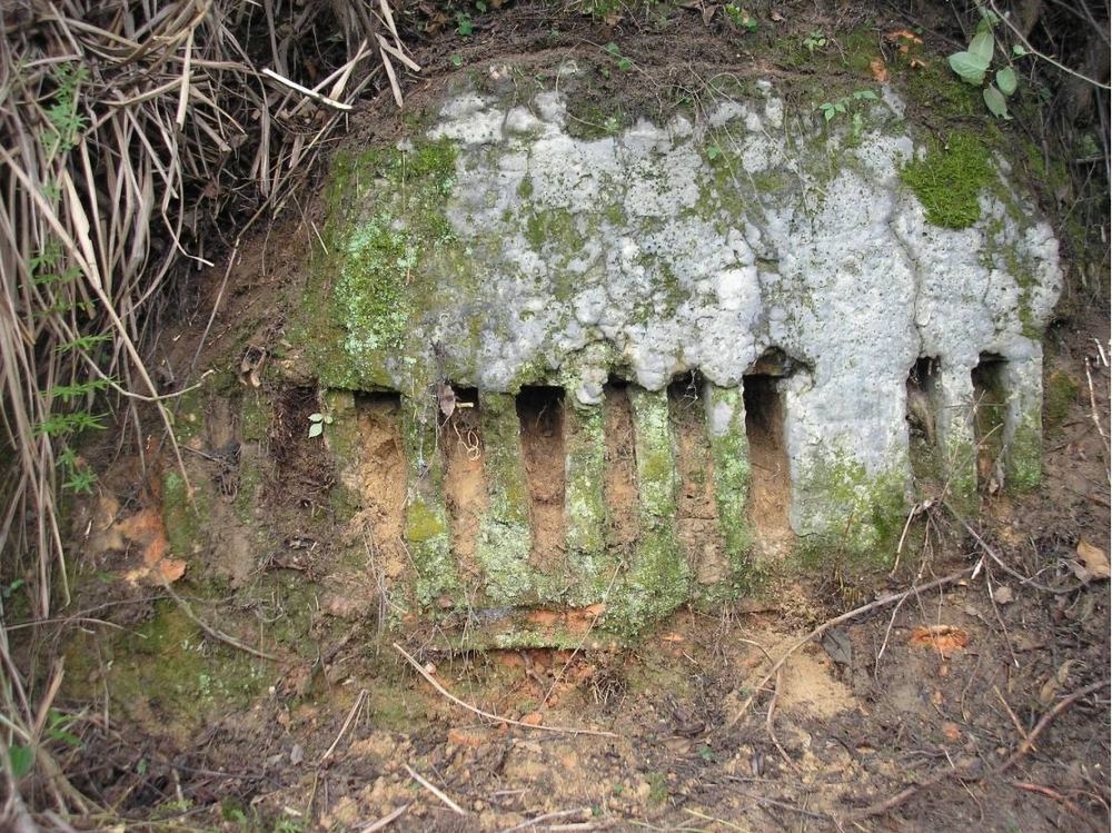青草坡窑址4.jpg