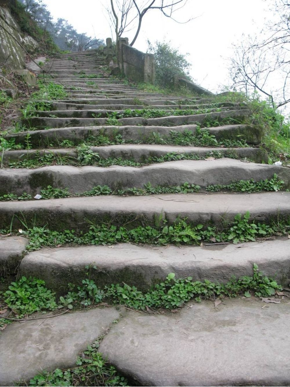 小川东路古驿道遗址1.jpg