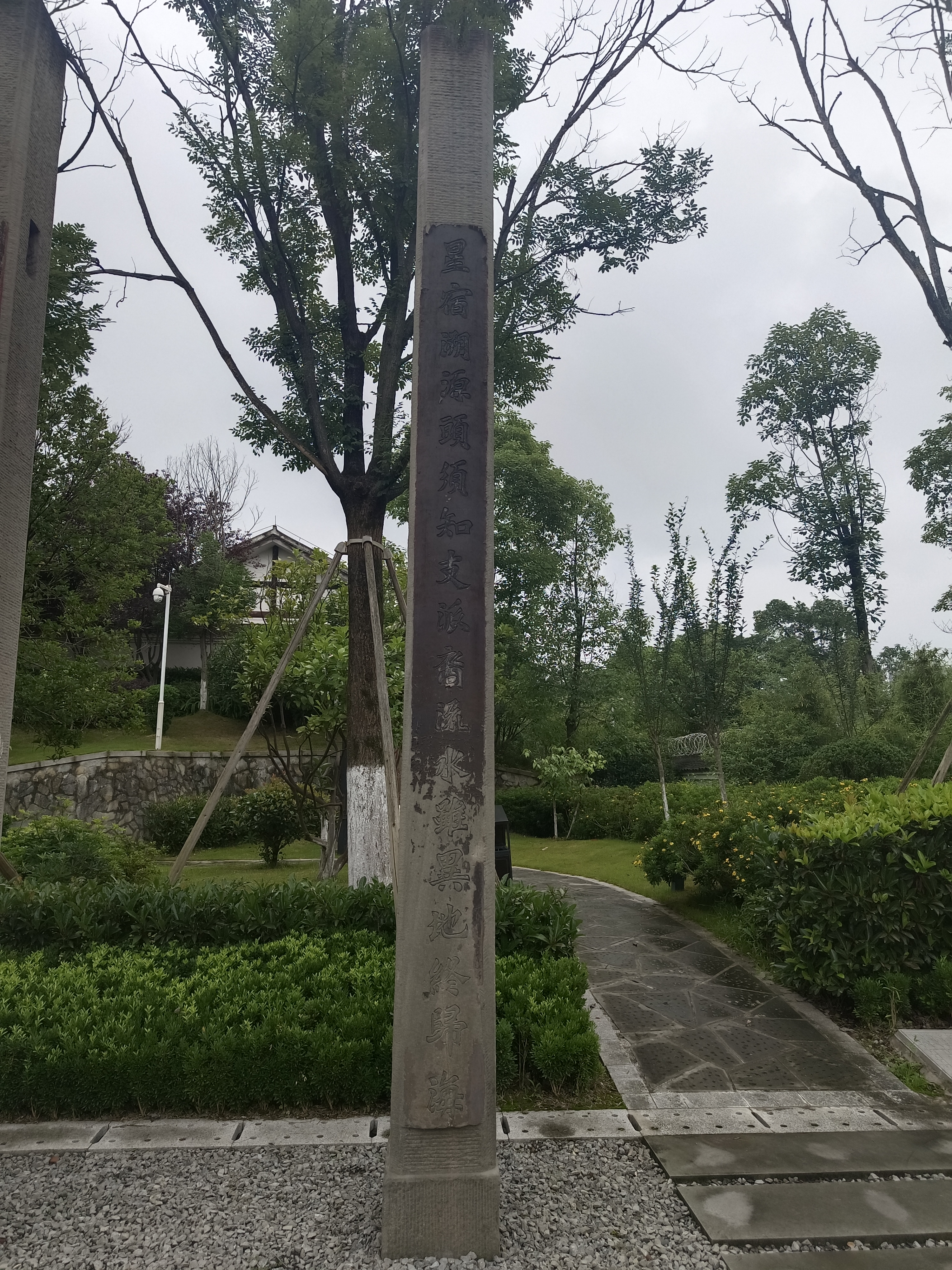 FEAD873409A0276DB9B684AB5BE23659.jpg