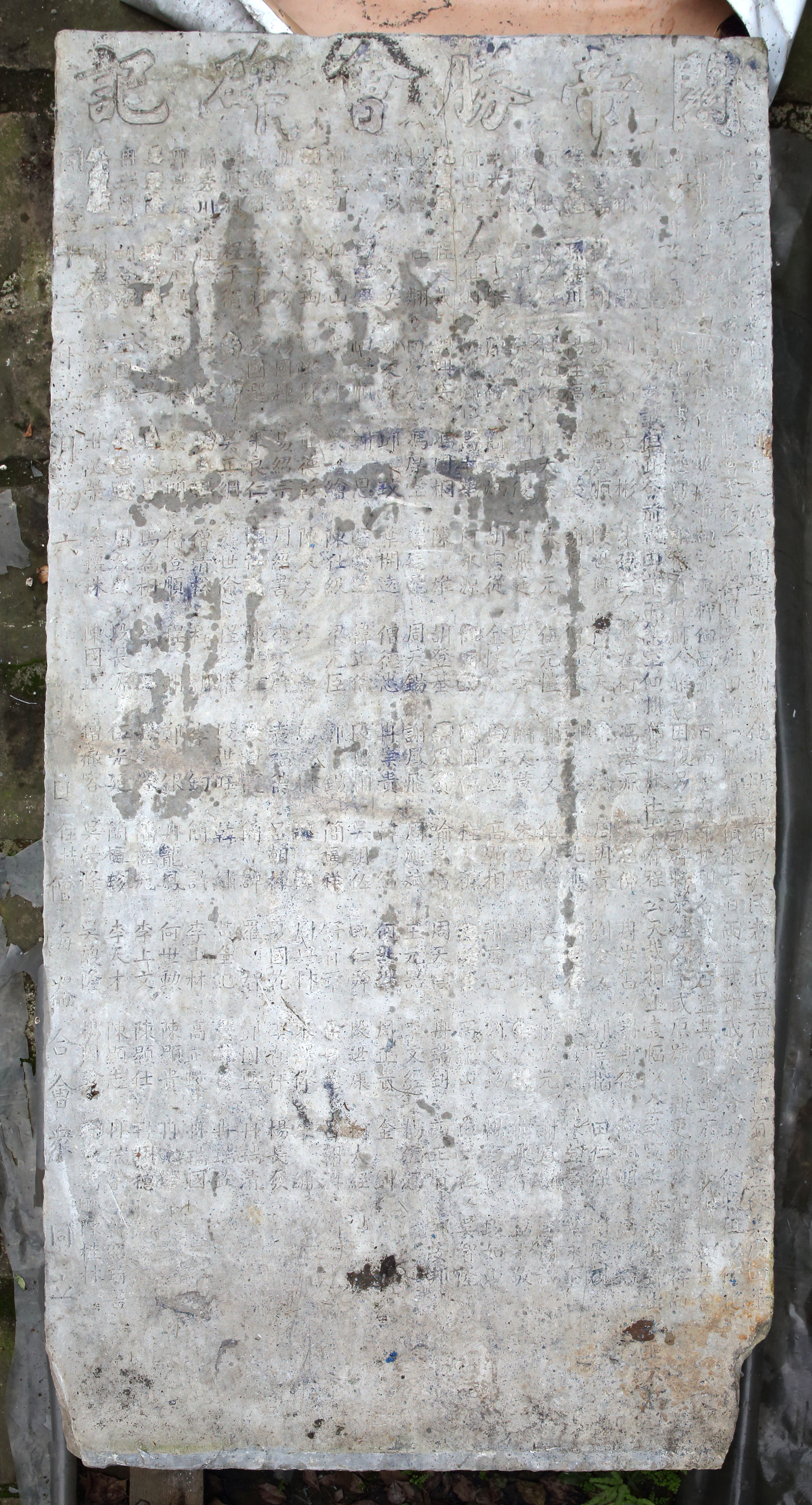 SB.J00359.JPG