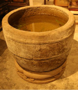 SB.J00286.JPG