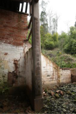 SB.J00299.JPG