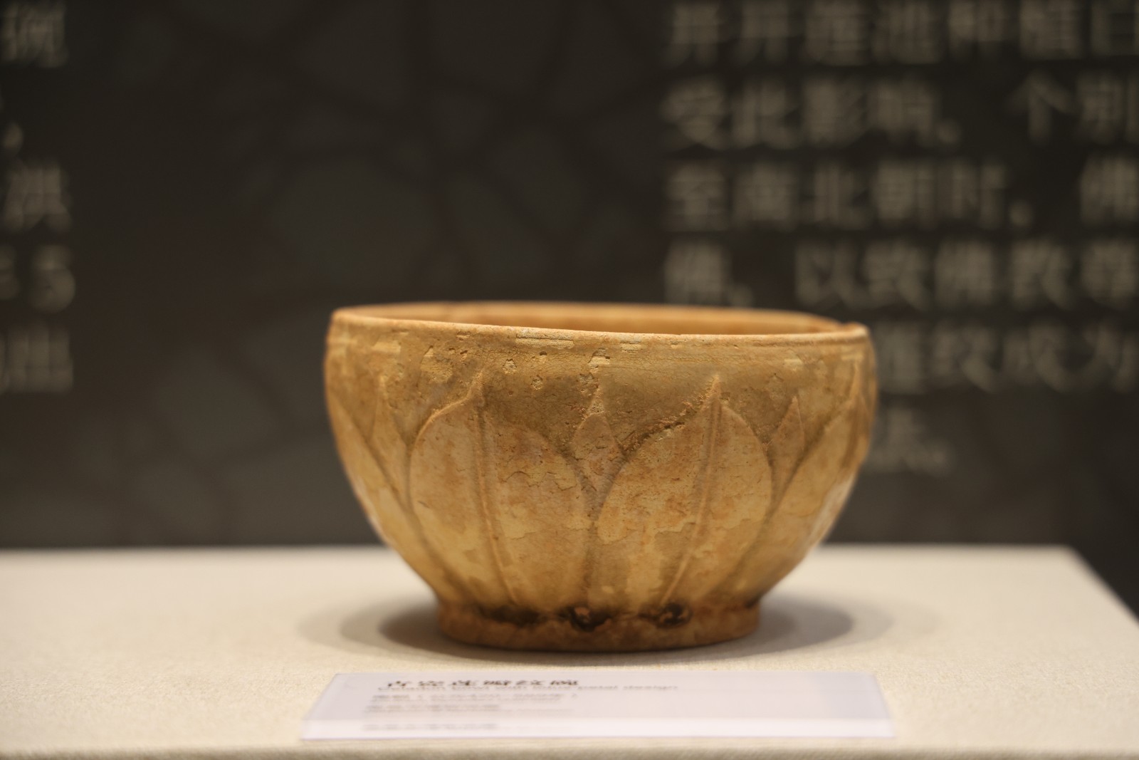 U-20250207171257-136.jpg