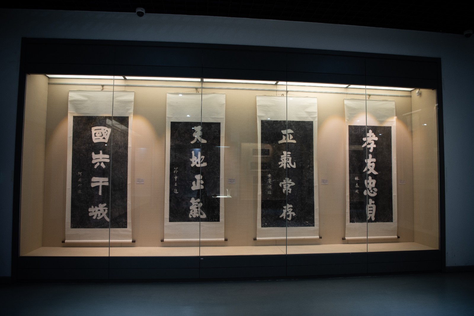 U-20250213101601-112.jpg