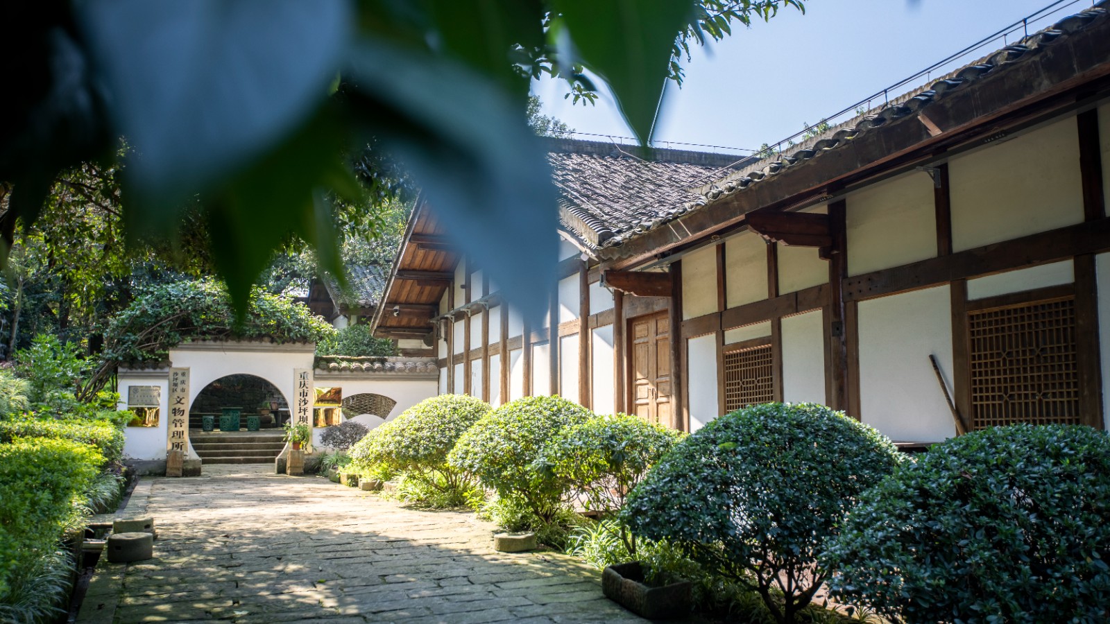 郭沫若 (5).jpg