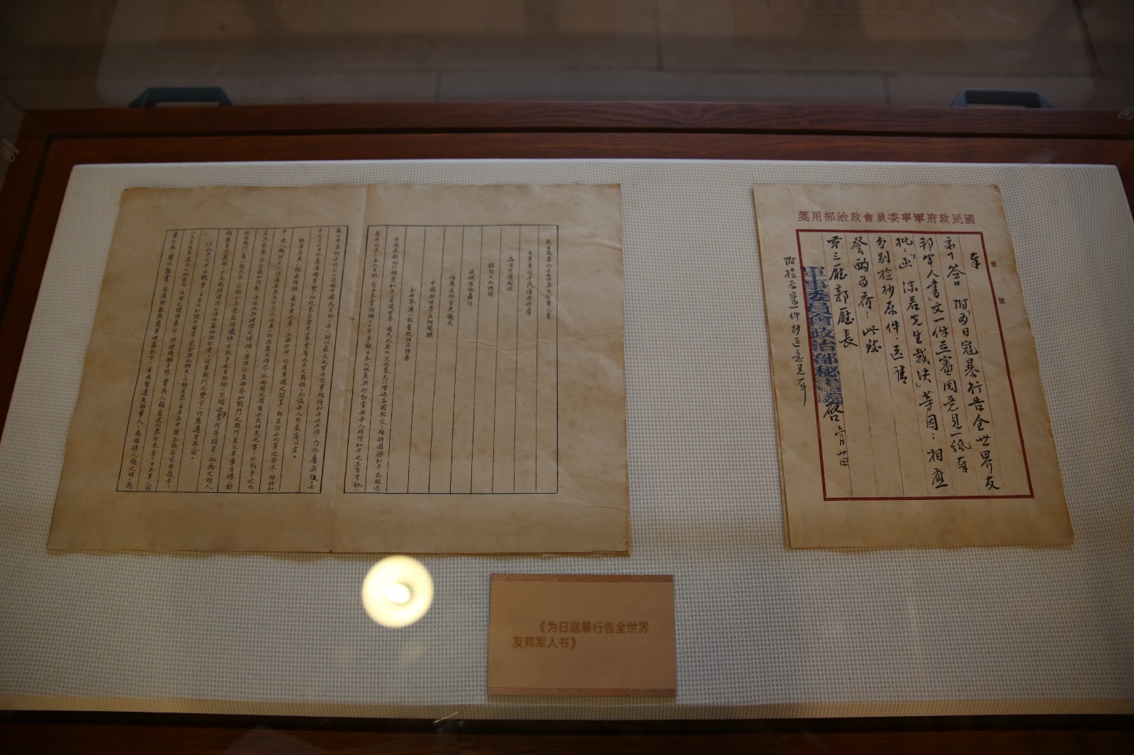 CC0A9719.JPG